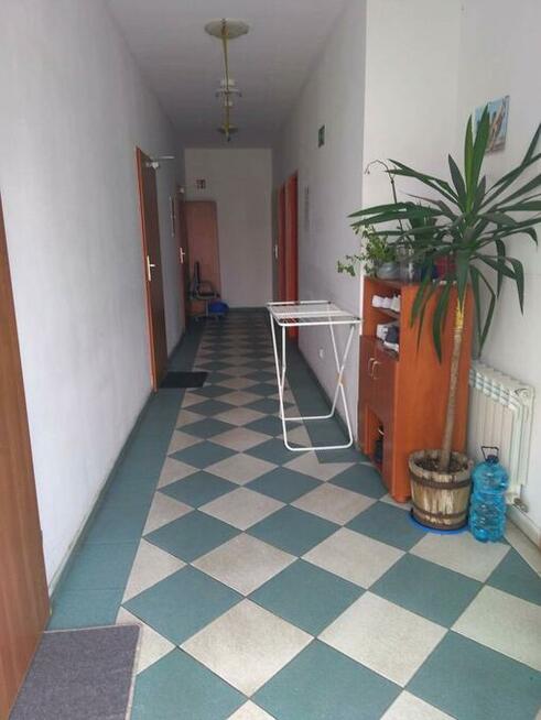 Pokój do wynajęcia