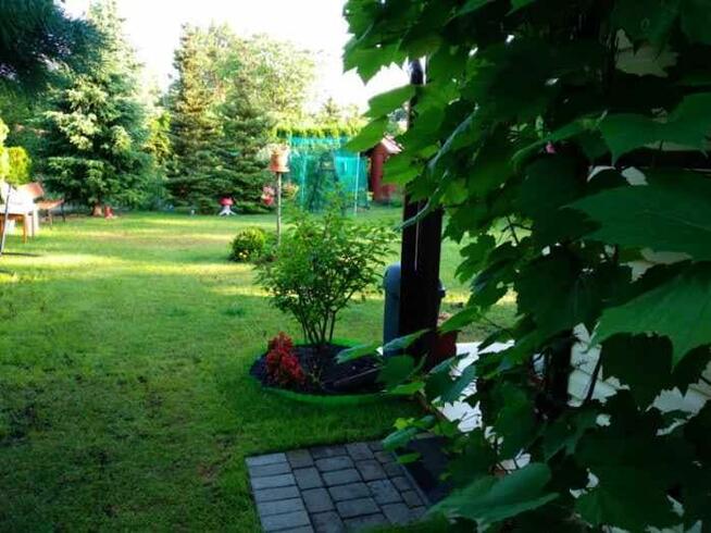 Działka ROD 500 m2 z domkiem
