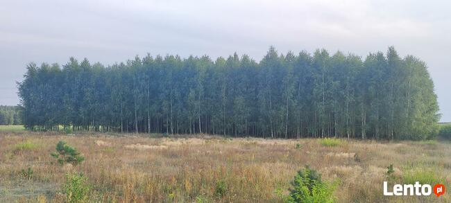 Okazja ! 3h lasu z dopłatami + działka do zabudowy