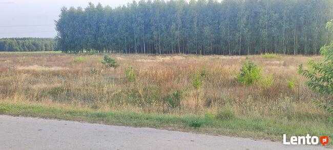 Okazja ! 3h lasu z dopłatami + działka do zabudowy