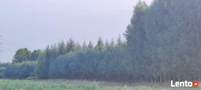 Okazja ! 3h lasu z dopłatami + działka do zabudowy