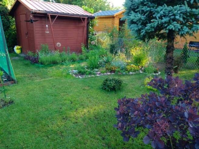 Działka ROD 500 m2 z domkiem