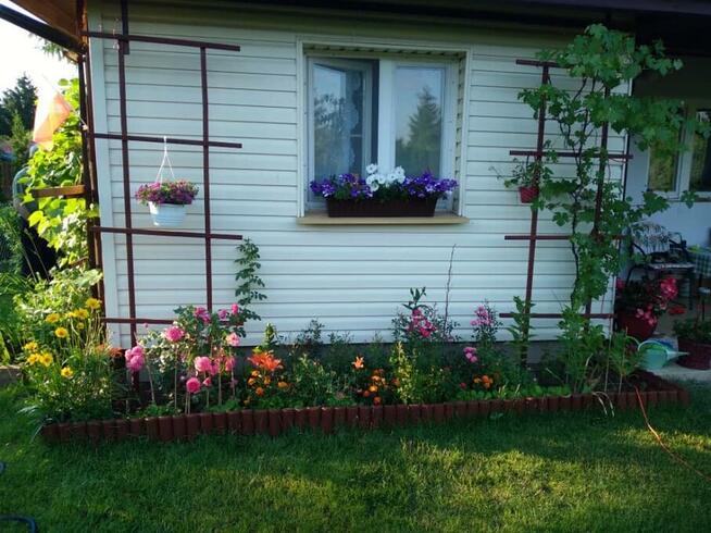 Działka ROD 500 m2 z domkiem