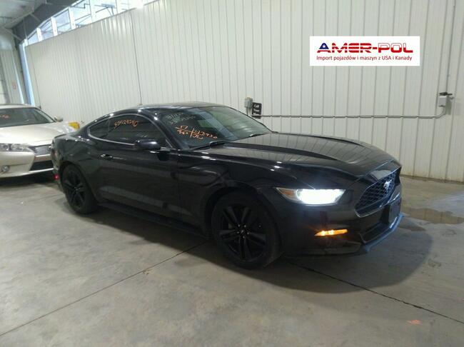 Ford Mustang 2017, 2.3L, po gradobiciu