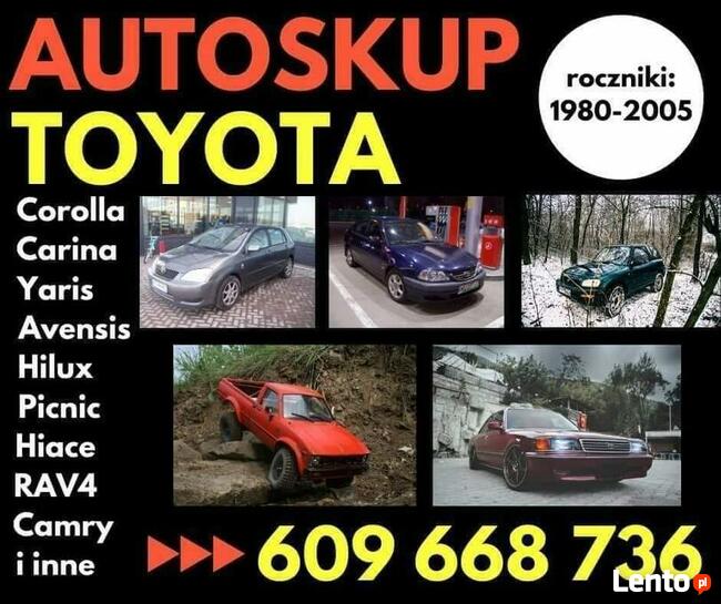 Auto skup Mercedes Sprinter Iveco VW LT kasacja aut busów