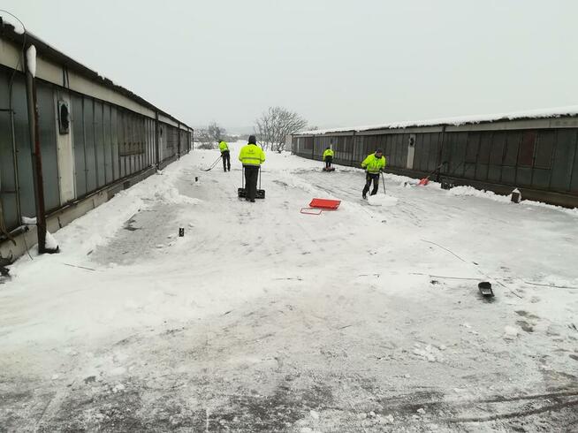 PRZEMYŚL ODŚNIEŻANIE TEL: 24h/7 dachów, parkingów, chodnikó