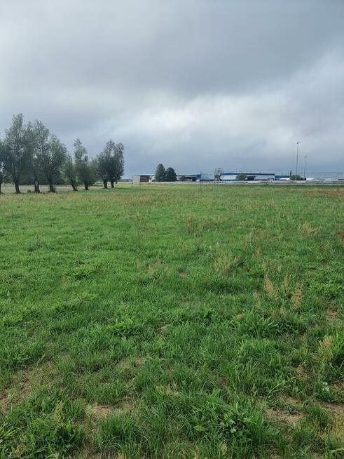 DZIAŁKA RYDZYNA NA SPRZEDAŻ 111 zł/m2