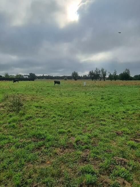 DZIAŁKA RYDZYNA NA SPRZEDAŻ 111 zł/m2