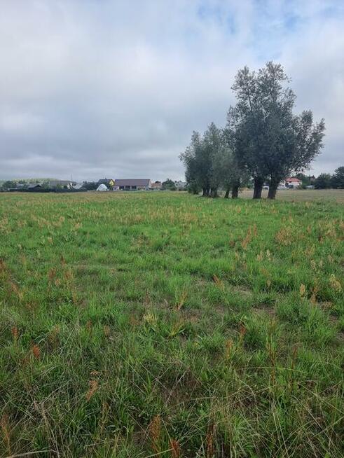 DZIAŁKA RYDZYNA NA SPRZEDAŻ 111 zł/m2