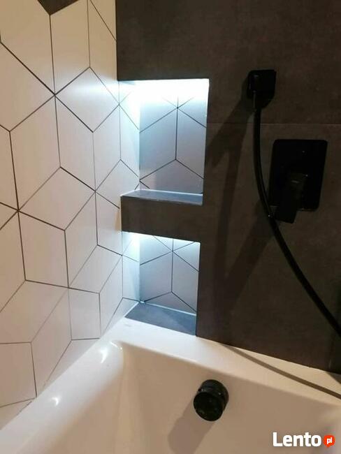 Wyburzenia, Rozbiorki,Dachy, Tarasy, Ogrodzenia, Malowanie