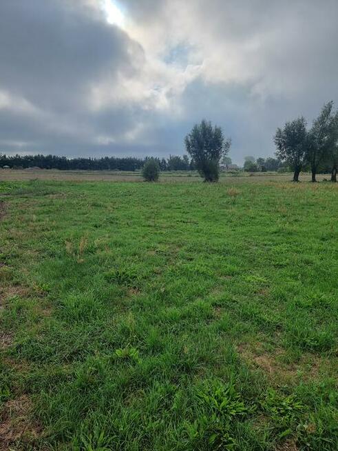 DZIAŁKA RYDZYNA NA SPRZEDAŻ 111 zł/m2