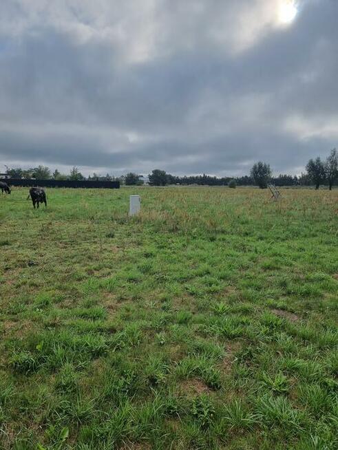 DZIAŁKA RYDZYNA NA SPRZEDAŻ 111 zł/m2