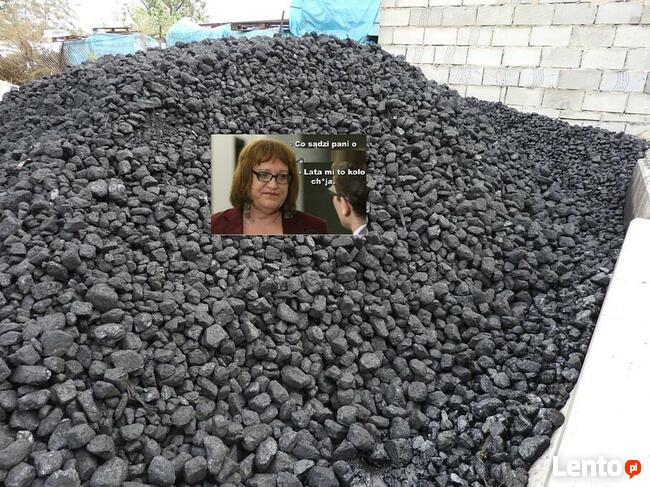 Polski węgiel typu orzech.