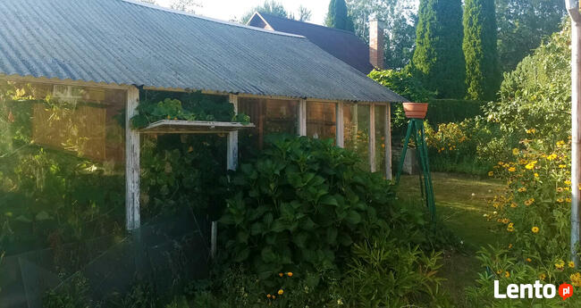 Działka ROD 340m2 Ogródki Działkowe Jaroszówka Białystok