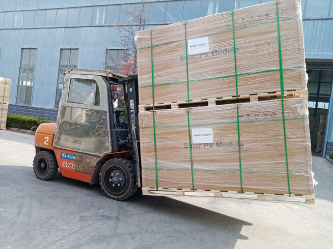 PV Module MONO 545 W More Energy Neu