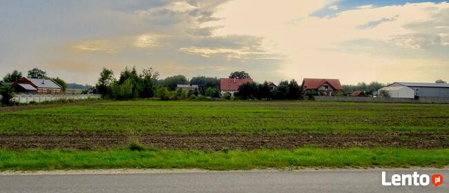 działka budowlana w Bukowcu