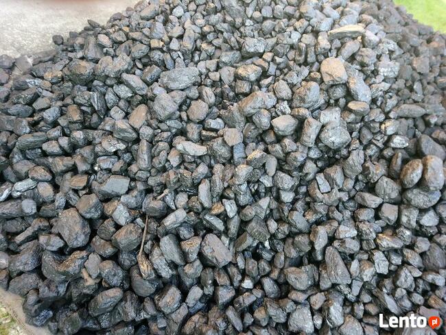 Polski węgiel typu orzech.