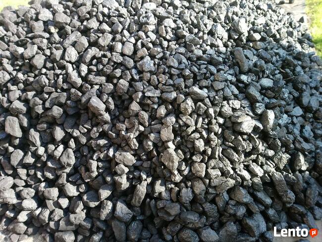 Polski węgiel typu orzech.