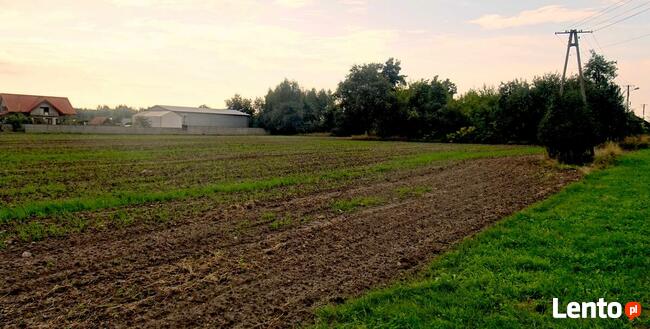 działka budowlana w Bukowcu