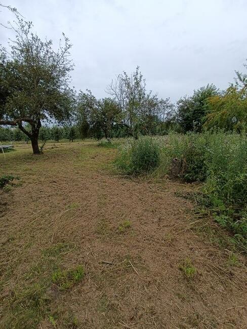 Karczownica kosiarka mulczer Toro