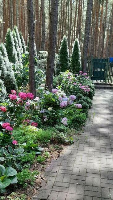 Dom nad Zalewem Zegrzynskim