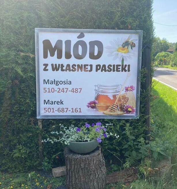 Miody z przydomowej pasieki