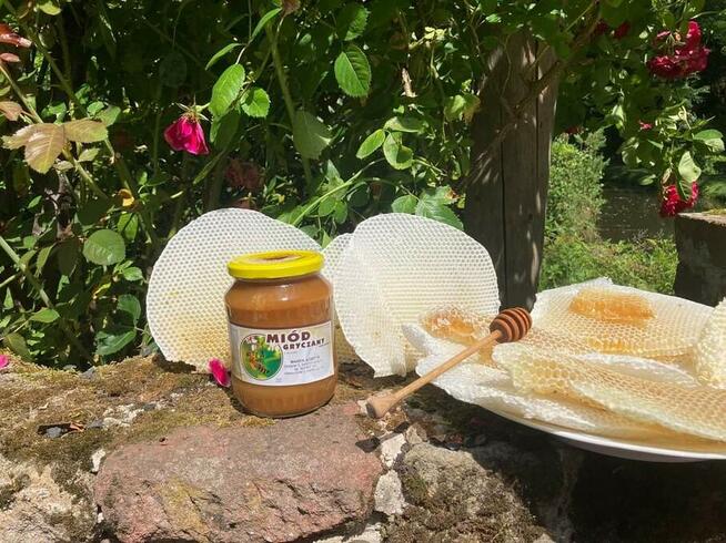Miody z przydomowej pasieki