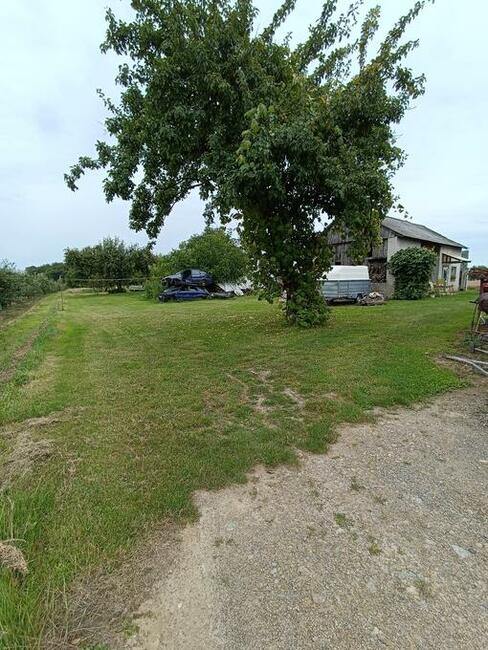 Karczownica kosiarka mulczer Toro