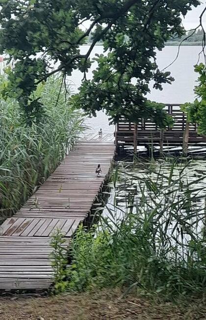 Dom nad Zalewem Zegrzynskim