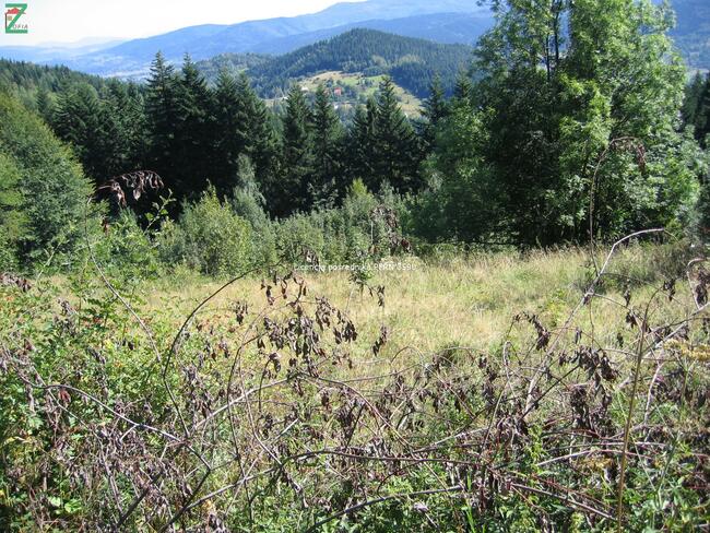 Działka rolna ZAWOJA gm. Gm. Zawoja