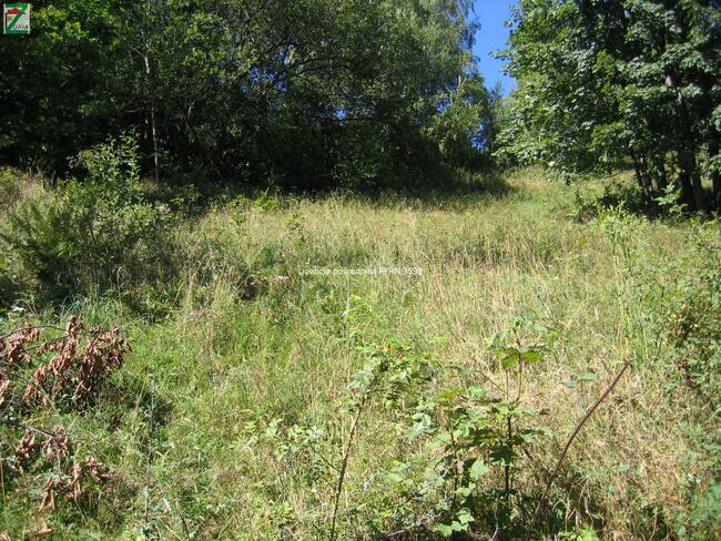 Działka rolna ZAWOJA gm. Gm. Zawoja