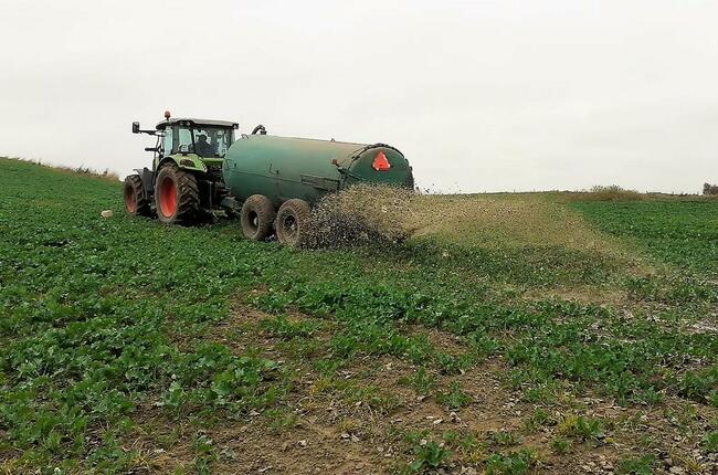AMU - do rozkładu gnojowicy i zapachu. Kanały, ruszta. 250 m3