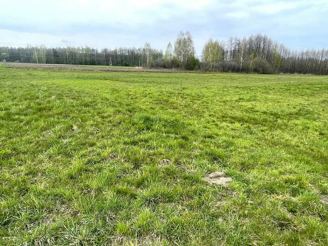 Działka na sprzedaż - Smyków