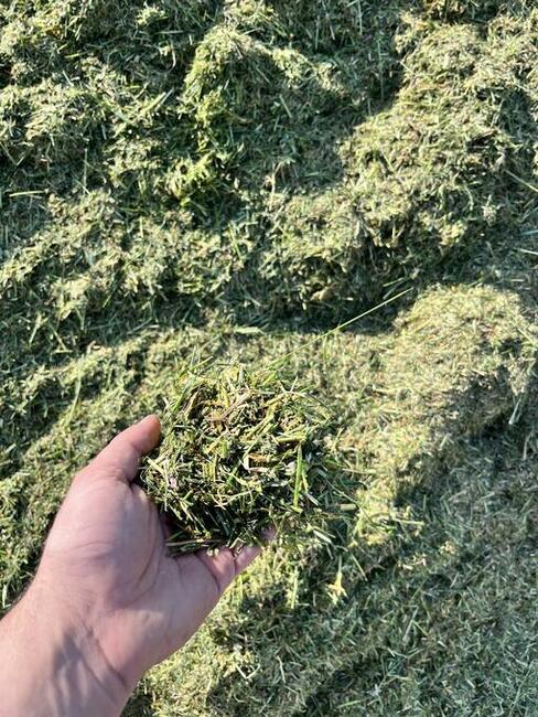 Usługi rolnicze / Orka/ Koszenie Kukurydzy/ Zbiór Traw