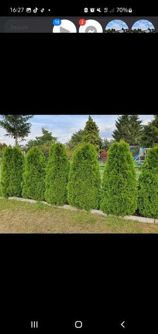 Działka Rod Rekreacyjna Dobrzyckiego 1 Maja