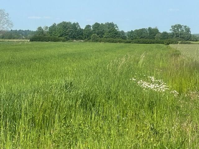 Działka na sprzedaż - Grabowica, gm. Pacanów