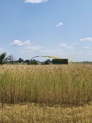 Usługi rolnicze / Orka/ Koszenie Kukurydzy/ Zbiór Traw