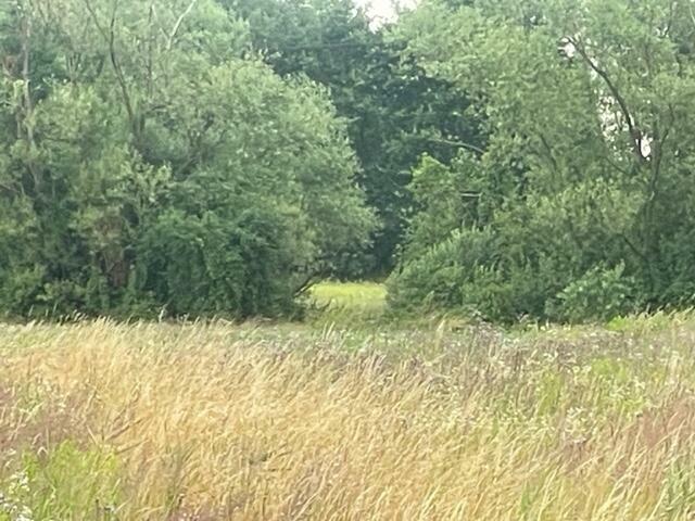 Działka na sprzedaż - obrzeża miasta - Dąbrowa Tarnowska