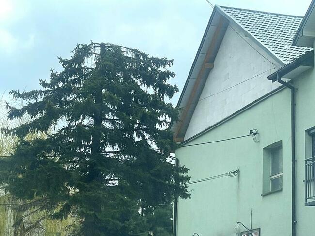 Lokal na sprzedaż - Dąbrowa Tarnowska