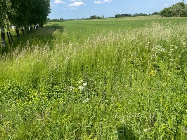 Działka na sprzedaż - Grabowica, gm. Pacanów