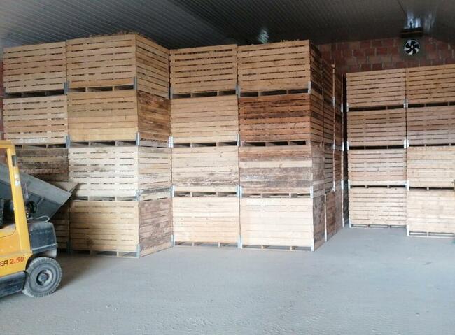 SKRZYNIOPALETY ziemniaki marchew pietruszka kapusta