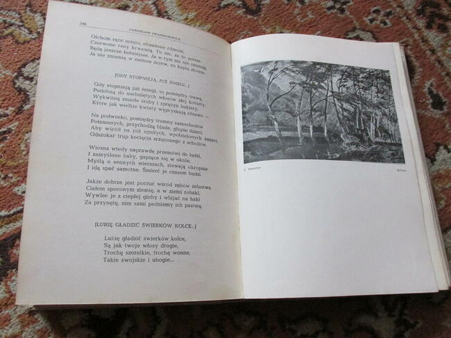 Książka - Wiersze i krajobrazy