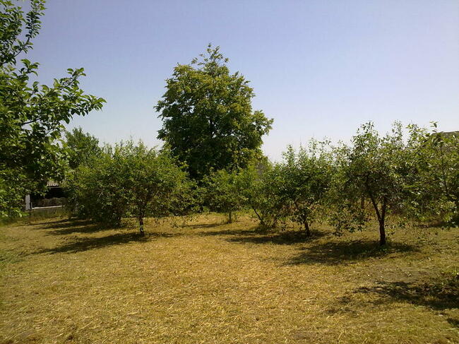 siedlisko - dom na wsi ZAMIENIĘ NA MIESZKANIE