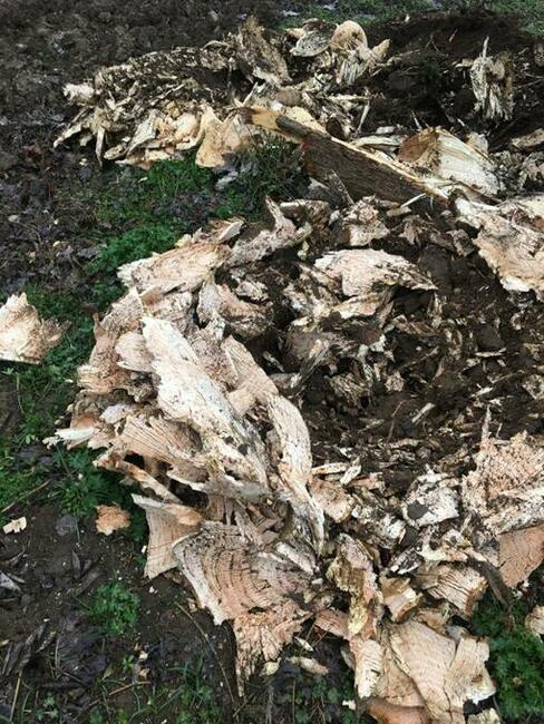 FREZARKA DO PNI, KARCZOWNIK CANAVARI-80