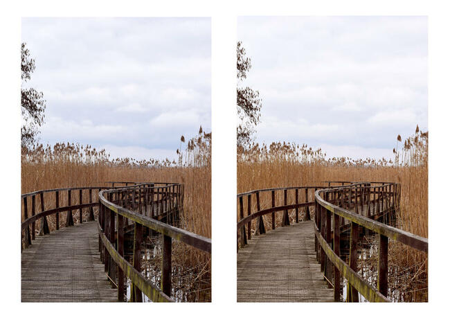 Zrobię miniaturki do filmów i obrobię zdjęcia