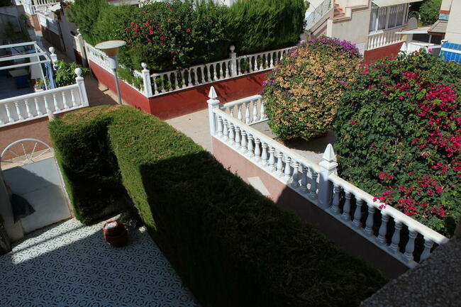 Bungalow - Playa Flamenca - Hiszpania