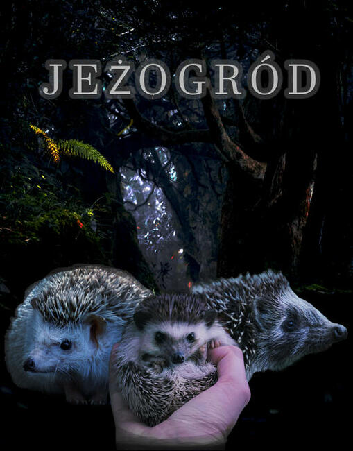 Zrobię miniaturki do filmów i obrobię zdjęcia