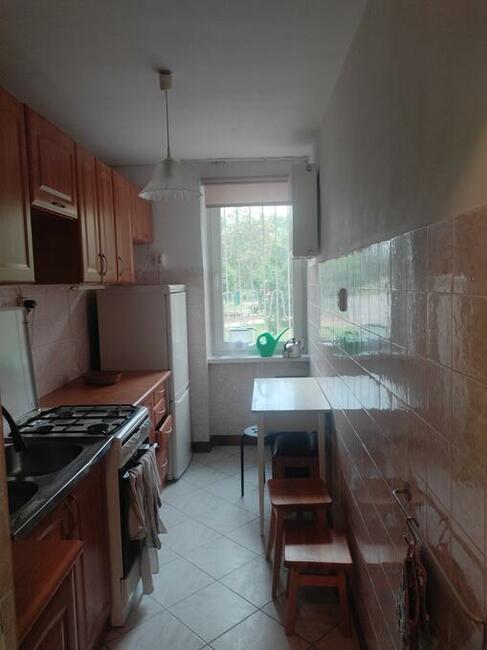 3- pokojowe mieszkanie do wynajęcia