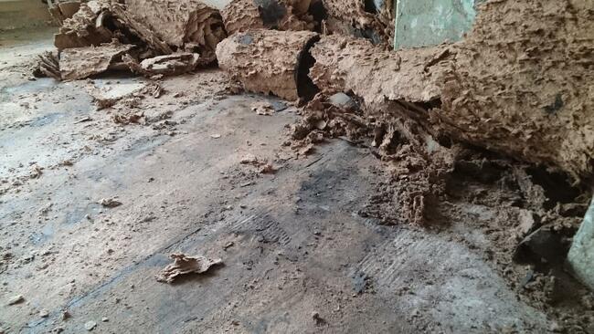 Usuwanie Subitu, lepiku Kutno lepiszcza, smoły, parkietu,