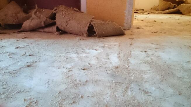 Usuwanie Subitu, lepiku Kutno lepiszcza, smoły, parkietu,